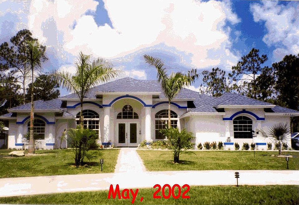 May, 2002, Young Palm Trees