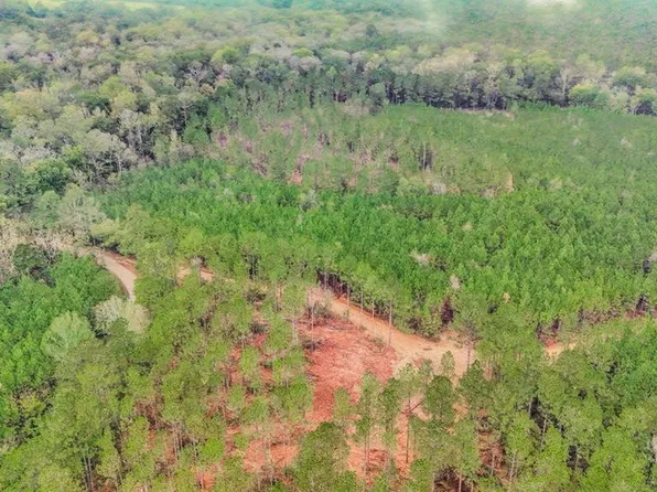 3163 Reeves Rd SE, Ruth, MS 39662