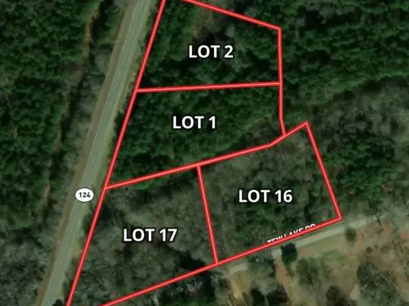 Highway 124, Jonesville, LA 71343