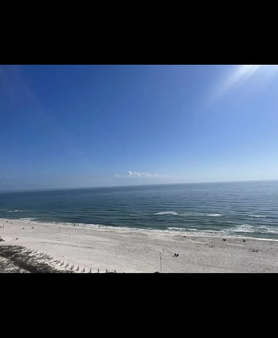 24400 Perdido Beach Blvd — Photo 3