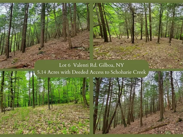 LOT 6 Valenti Rd Lot 6, Gilboa, NY 12076