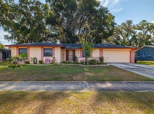 805 Shangri La Dr, Seffner, FL 33584