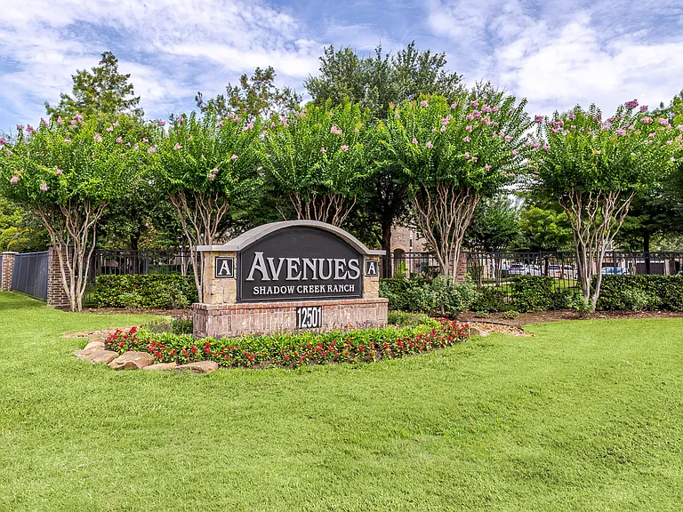 Avenues at Shadow Creek Ranch — Photo 47