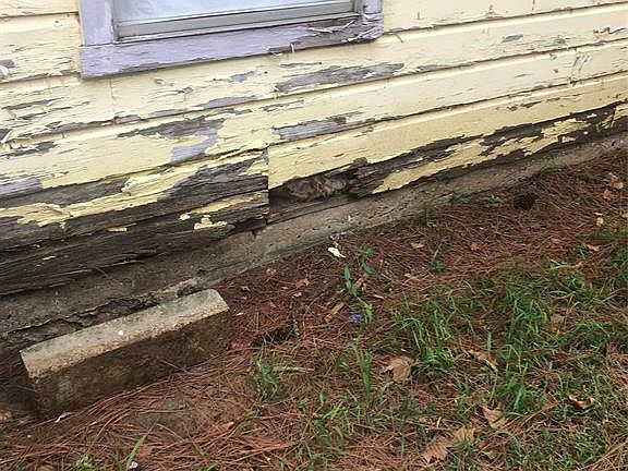 5th image of 215 Dewitt Ave