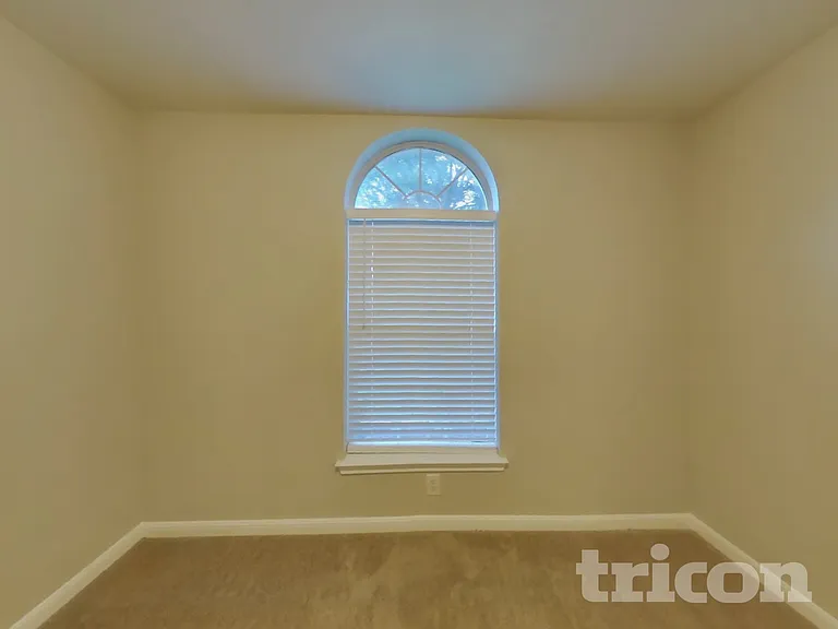 3931 Mistflower Dr — Photo 11