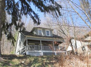 138 Chestnut St, Oneonta, NY 13820