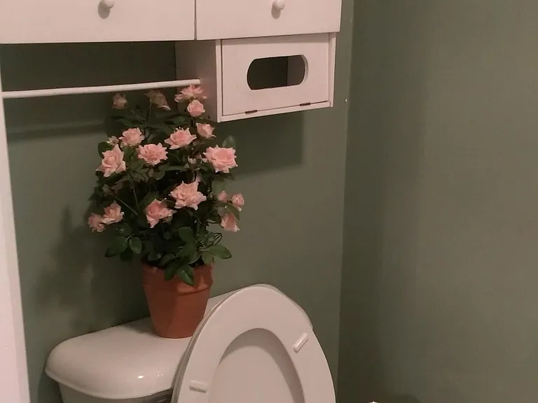 Downstairs half bath