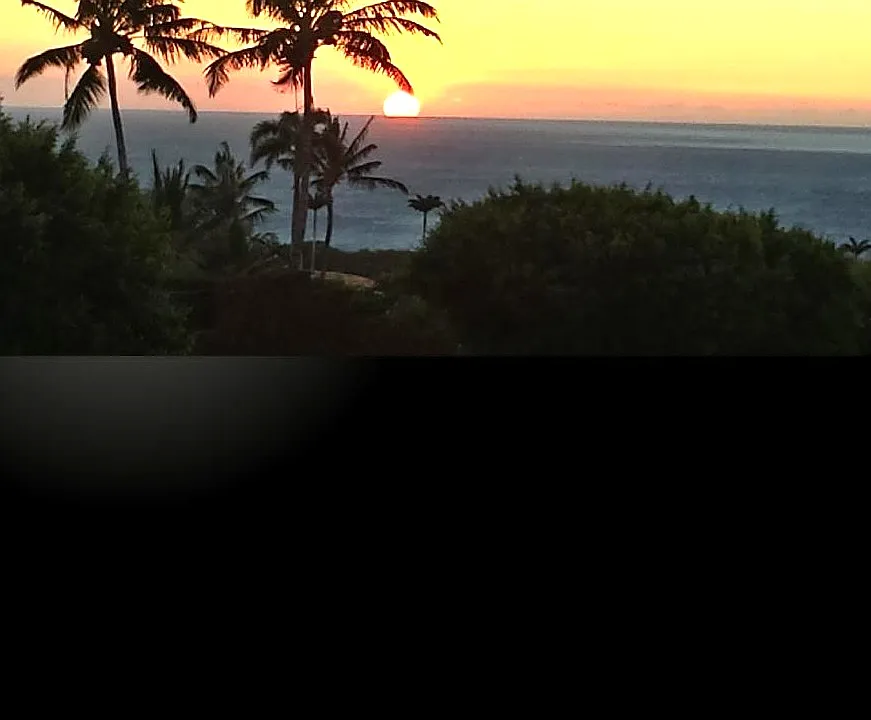 62-3600 Amaui Pl #4201