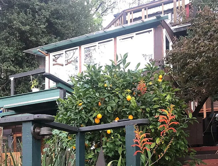 120 Forrest Ave — Photo 13