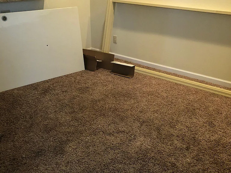 Living room and bedroom are one large room