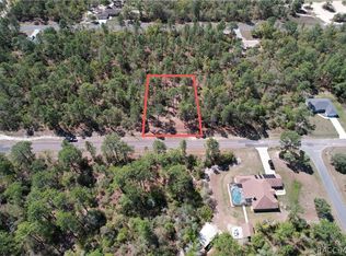 3616 W Fountain Ln, Citrus Springs, FL 34433