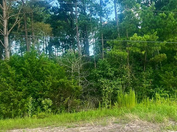 2nd image of Willie Varnum Road Greenbrier Farms S D Lot 17