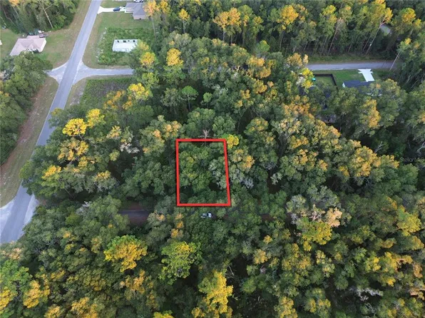 TBD SEQUOIA LOOP TRACK LOT 6, OCKLAWAHA, FL 32179