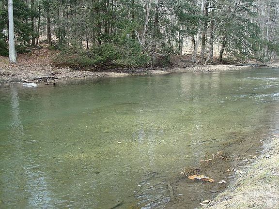 Waterfront on Williams River