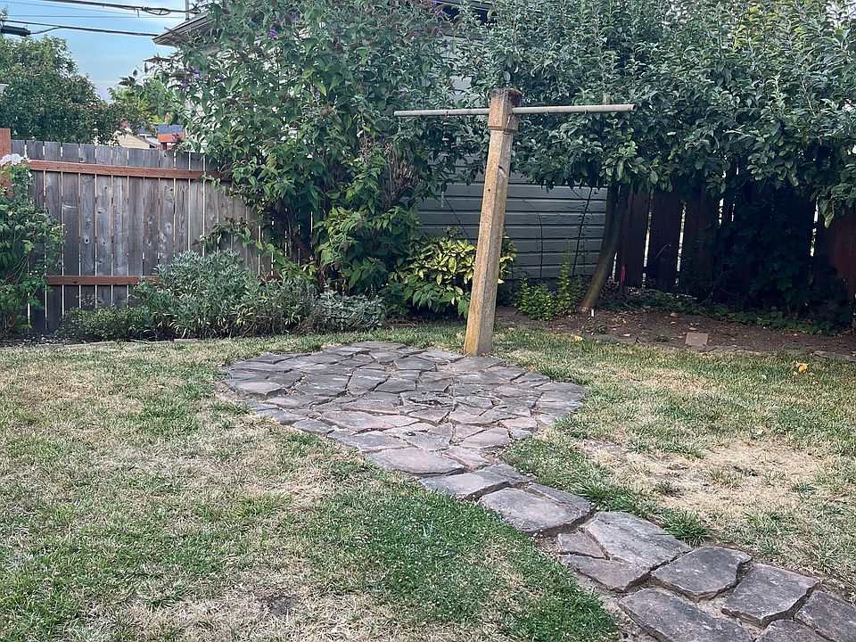 Shared Backyard