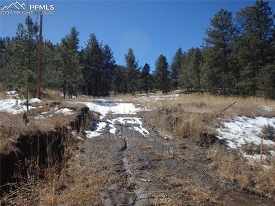 1298 County Road 112, Florissant, CO, 80816