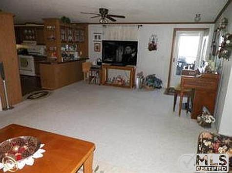 Large living room.jpg