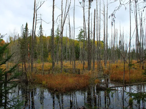 10 Road Office 3, Mercer, WI 54547