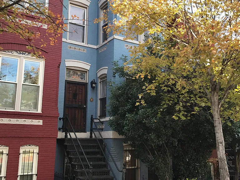 Front of the house (blue).
