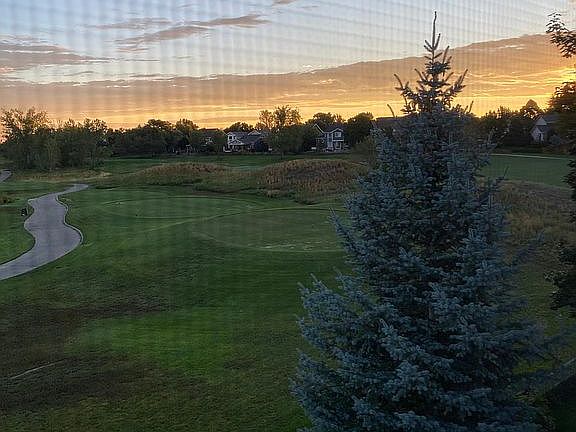 Eastern View from deck