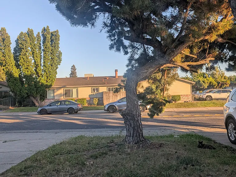 3831 Rion Way #3831 — Photo 27