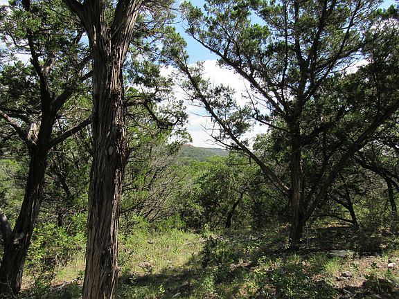 4th image of PR 1734 Lot 113A