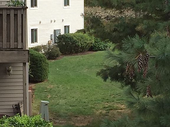 Deck View 2