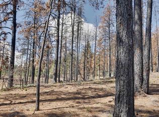 226 Windmill Pl, Pagosa Springs, CO 81147