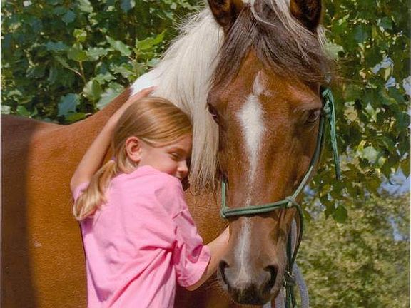 Kids and horses
