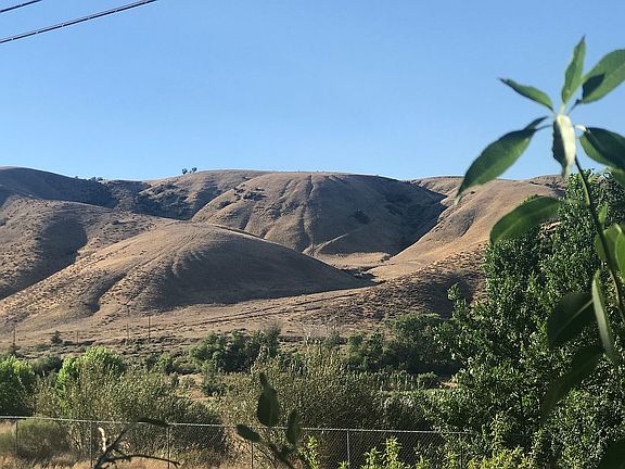 View from the Primary&Living