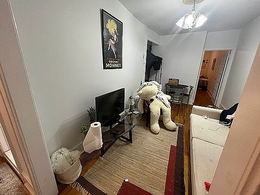 4th image of 215 W 108th St APT 1
