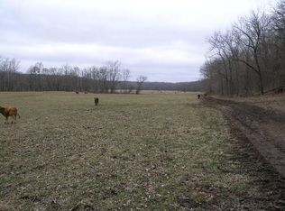 8375 Perkins Rd, Mountain Grove, MO 65711