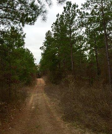 3rd image of 4031 County Road 3707