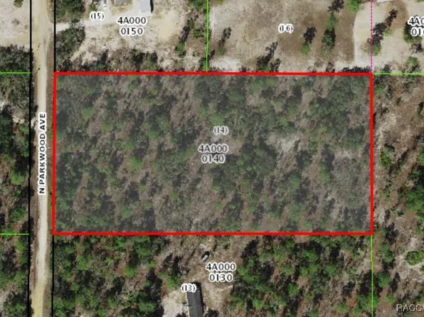 9845 N Parkwood Ave, Dunnellon, FL 34433