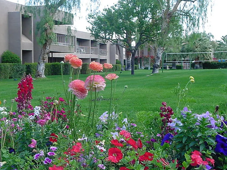 45750 San Luis Rey Ave #118 — Photo 31