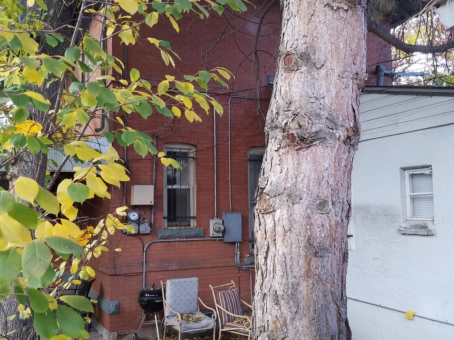 1 bed, 675 sqft, $850 — Photo 2