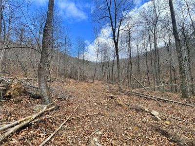 Landlock Rd, Marshall, AR, 72650