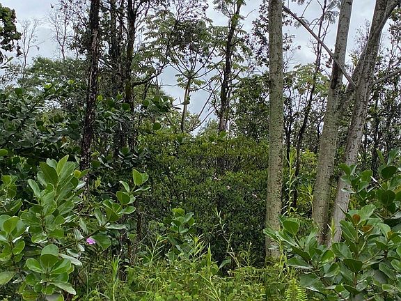 2nd image of 17th Avenue Lokelani Lot 610