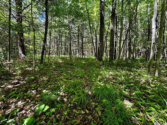 5th image of On Camp Nine Rd
