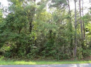 1095 Wild Rose Ct, Manning, SC 29102