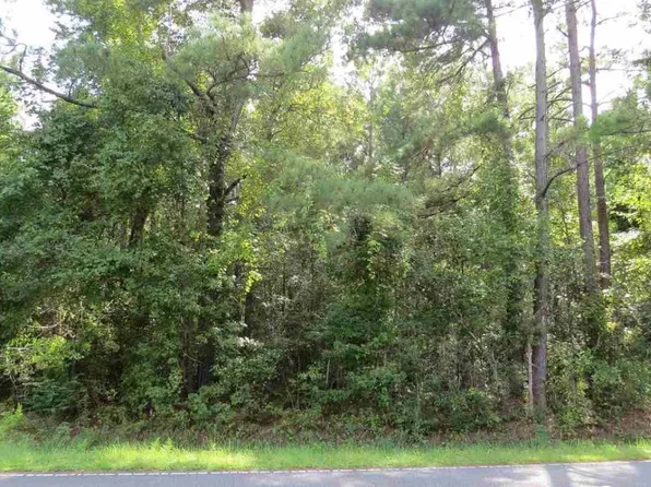 1095 Wild Rose Dr., Manning, SC 29102