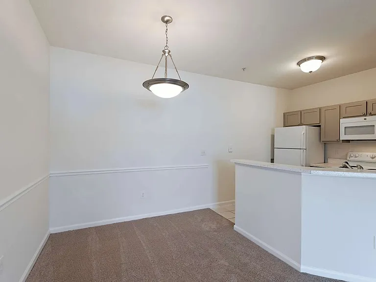 4480 Platinum Dr — Photo 5