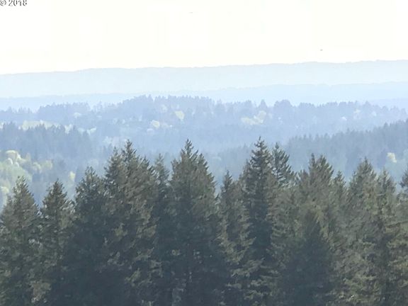 2nd image of 0 NE 242nd Ave