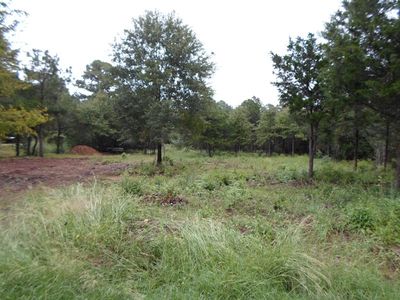 000 Old Firetower #LOT 102, Bastrop, TX, 78602