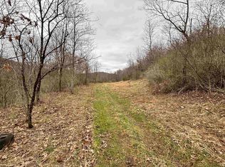 Hunters Fork Rd, Belington, WV 26250