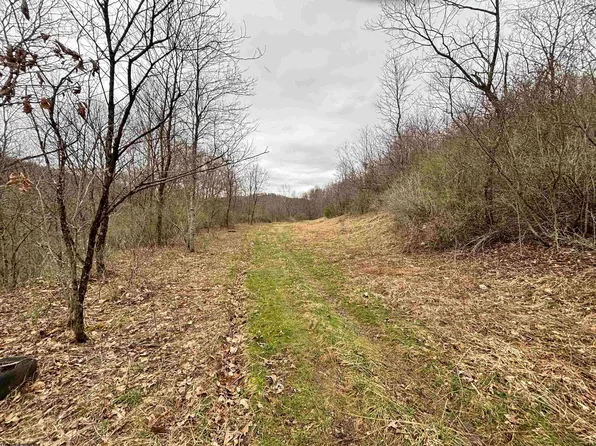 Hunters Fork Rd, Belington, WV 26250