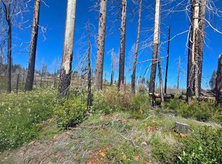 5217 Golden Aspen Ct, Grizzly Flats, CA 95636