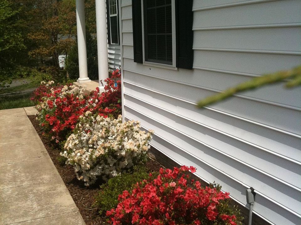 Spring 2010