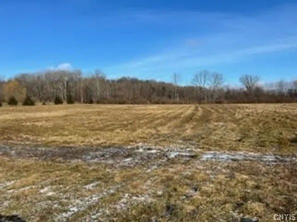 1 Peckville Rd, Dolgeville, NY 13329