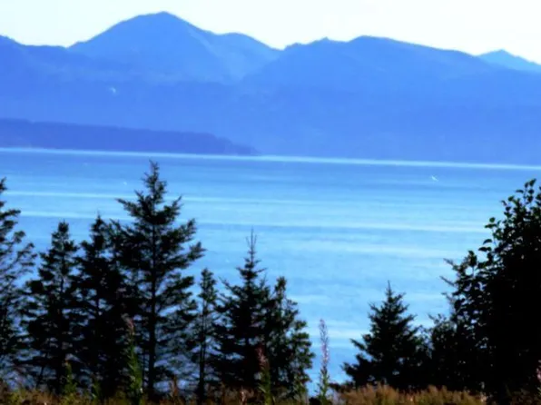 955 Sterling Hwy, Homer, AK 99603